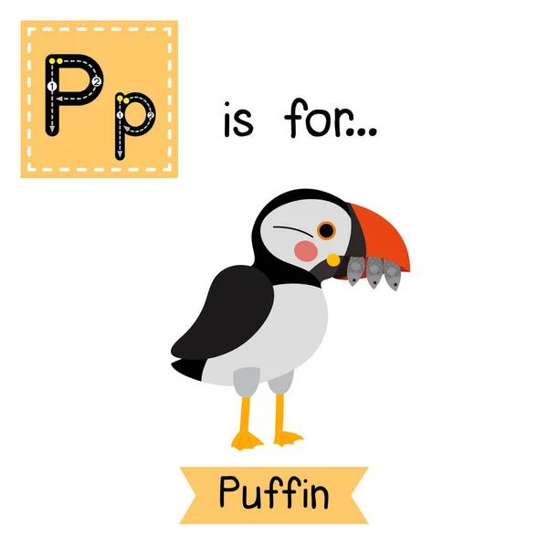 字母P追踪 Puffin鸟 — 图库矢量图片