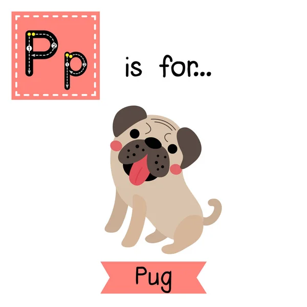 Letra Rastreo Pug Dog — Archivo Imágenes Vectoriales