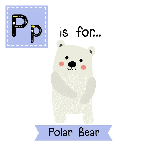 Γράμμα Εντοπισμού Μόνιμη Πολική Αρκούδα — Διανυσματικό Αρχείο