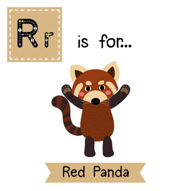 Letter R tracing. Red Panda standing and raising two hands clipart