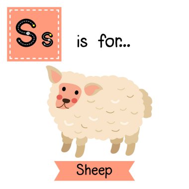 S harfi takip ediliyor. Şirin Koyun