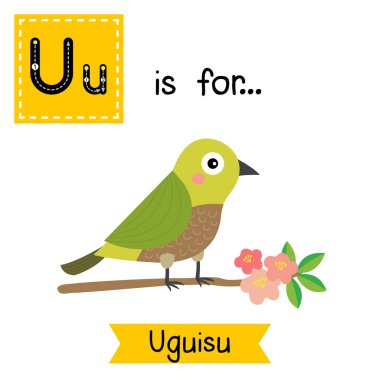 Letter U tracing. Uguisu bird perching on branch clipart