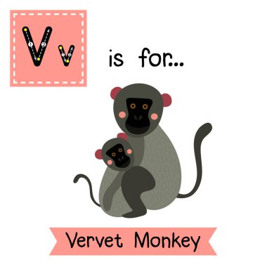 Letter V tracing. Vervet Monkey clipart