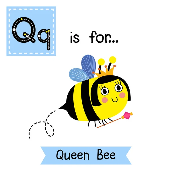 Отслеживание Буквы Королева Пчела Держит Скипетр — стоковый вектор