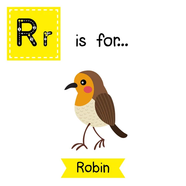 Letra Rastreo Paseando Robin Pájaro — Archivo Imágenes Vectoriales