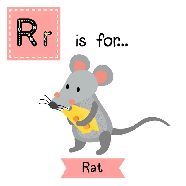 Letra Rastreo Queso Posesión Ratas — Vector de stock