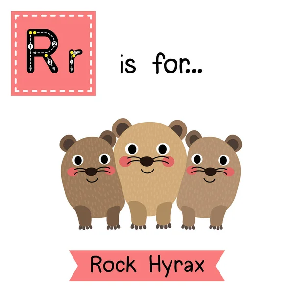 Betű Lenyomozása Rock Hyrax Család — Stock Vector