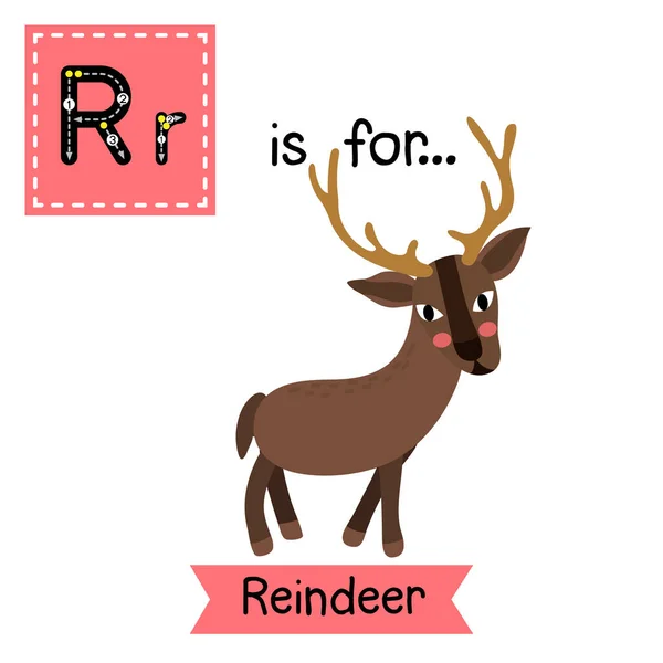字母R追踪 站立驯鹿 — 图库矢量图片