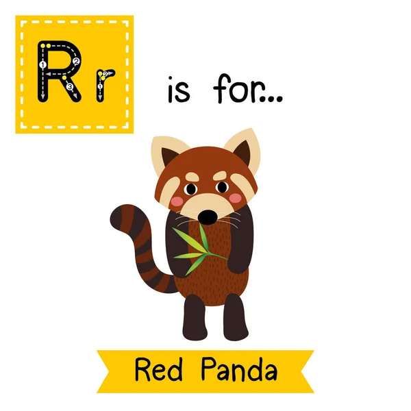 Letra Rastreo Panda Rojo Pie Con Bambú — Vector de stock