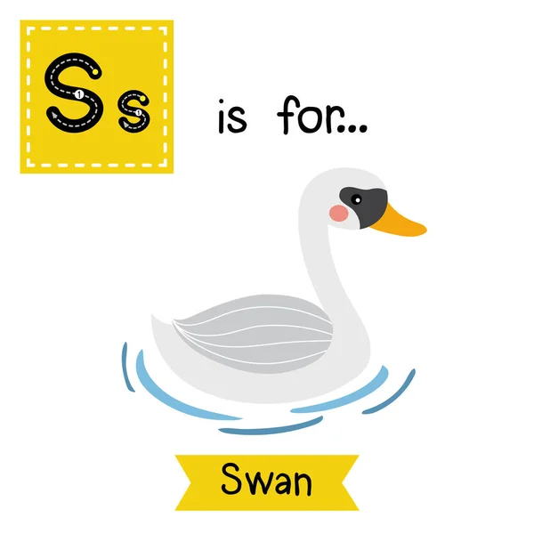 字母S跟踪 天鹅Swan — 图库矢量图片