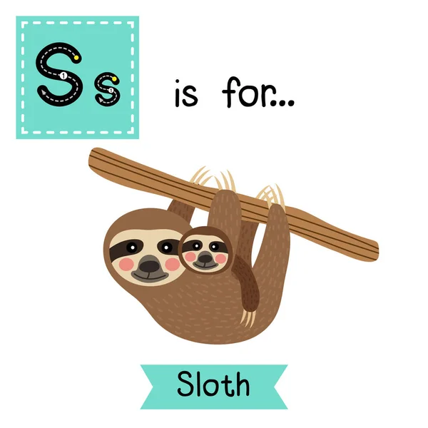 Betű Lenyomozása Anya Gyermek Sloth Lóg Fán — Stock Vector