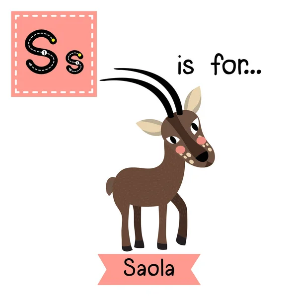 Letra Rastreo Saola — Vector de stock