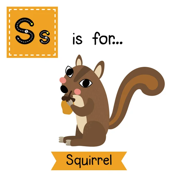 Lettre Traçant Écureuil — Image vectorielle