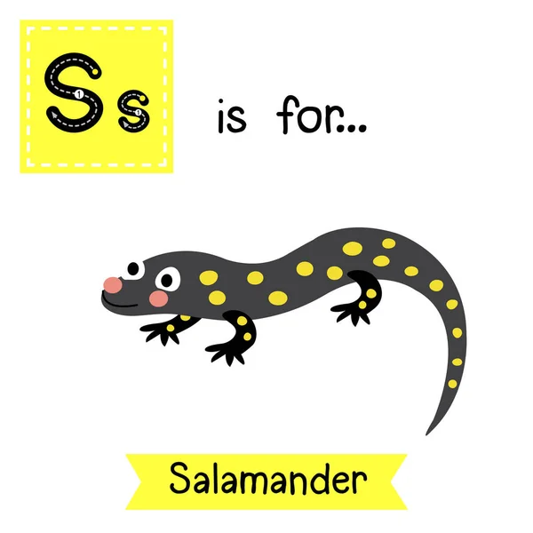 Отслеживание Буквы Саламандра — стоковый вектор