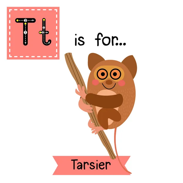 Letra Rastreo Tarsier Colgando Árbol — Vector de stock