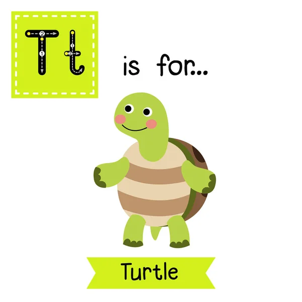 字母T追踪 乌龟两条腿站立 — 图库矢量图片