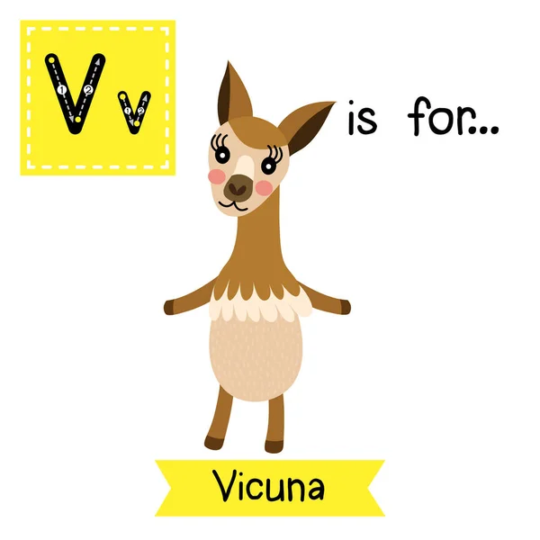 Letter Tracing Vicuna Standing Two Legs — Stock Vector