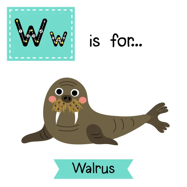 Písmeno Happy Walrus — Stockový vektor