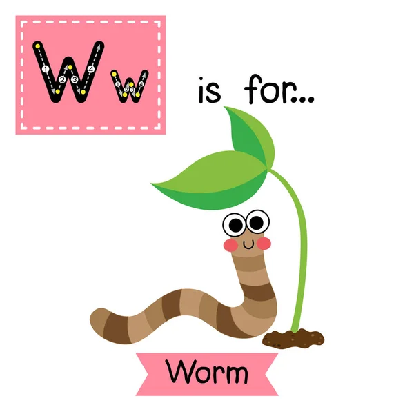字母W追踪 快乐蠕虫 — 图库矢量图片