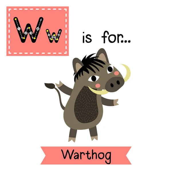 Letter Tracing Warthog — Stock Vector