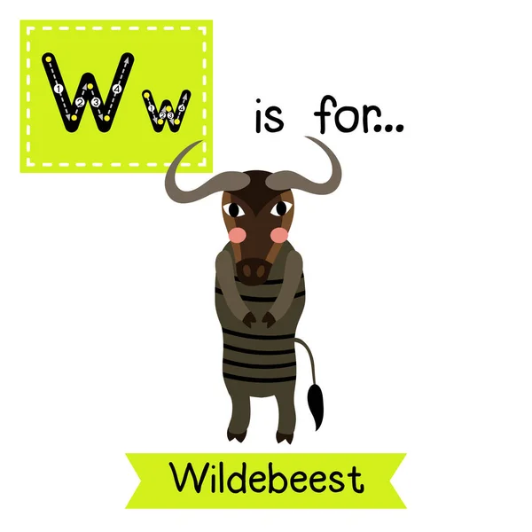 字母W追踪 野兽用两条腿站立 — 图库矢量图片