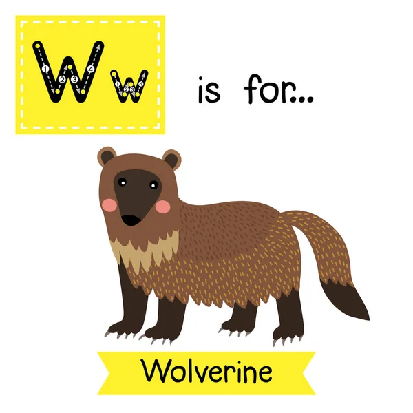 Písmeno Wolverine — Stockový vektor