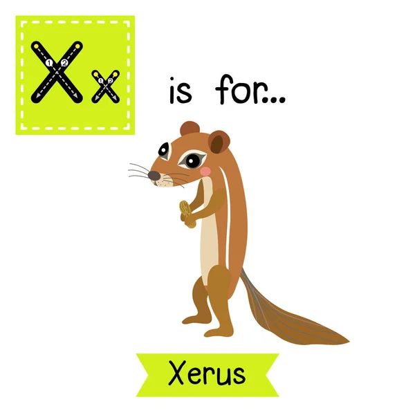 Letter Tracing Xerus — Stock Vector