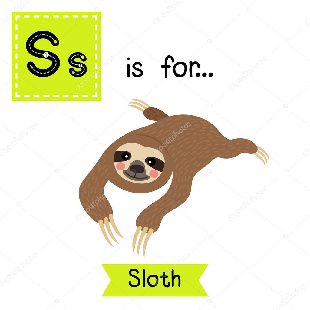 Letter S tracing. Lying Sloth
