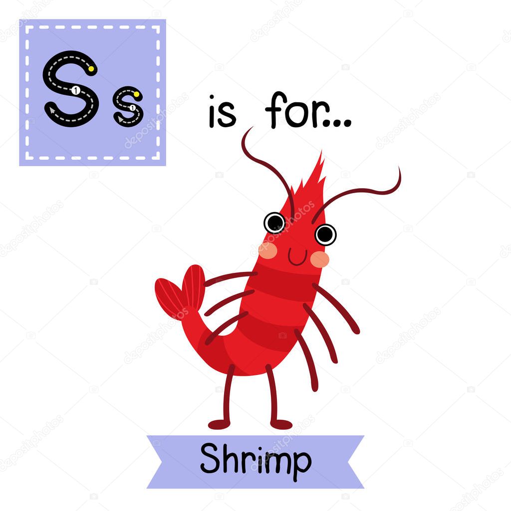Letter S tracing. Standing Shrimp