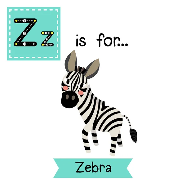 Buchstabe Tracing Zebra — Stockvektor