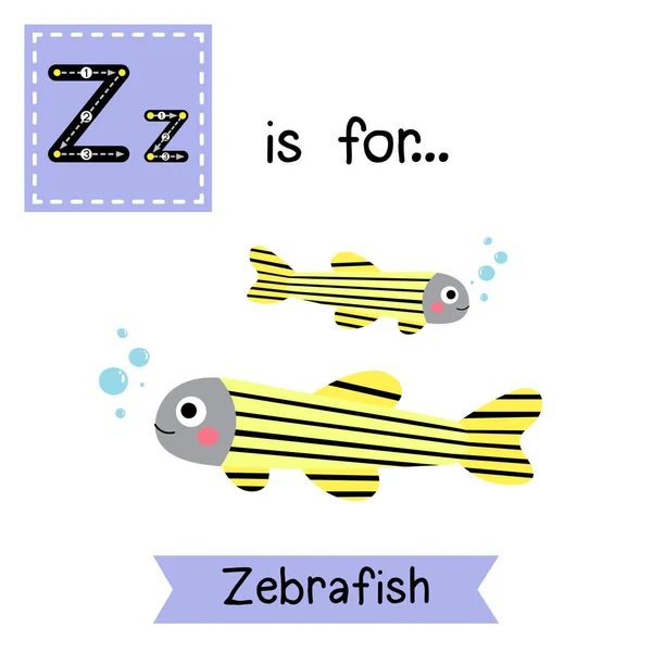 字母Z跟踪 斑马鱼 — 图库矢量图片