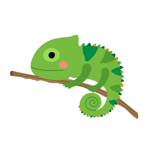 Chameleon Branch Animal Cartoon Character Vector Illustration — Stock Vector