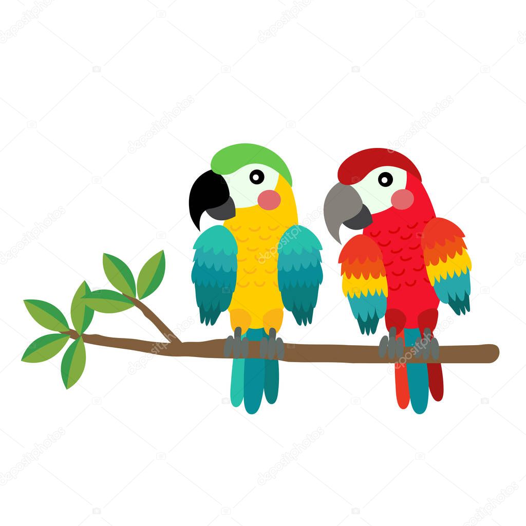 Colorful Parrot bird  animal cartoon character vector illustration.