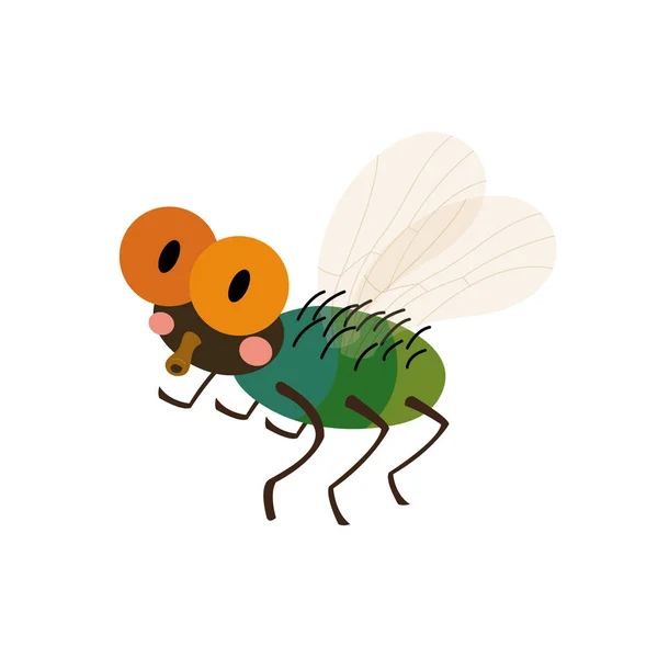 Mosca Animal Dibujo Animado Personaje Vector Ilustración — Vector de stock