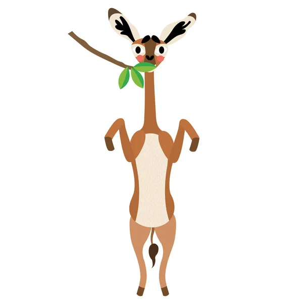 Gerenuk Standing Two Legs Eating Leaves Animal Cartoon Character Vector — Stock Vector