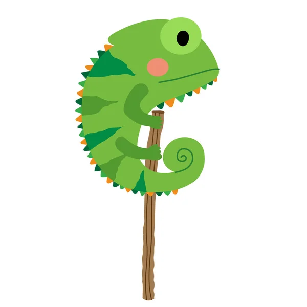 Πράσινο Chameleon Ζώων Εικονογράφηση Φορέα Χαρακτήρα Κινουμένων Σχεδίων — Διανυσματικό Αρχείο