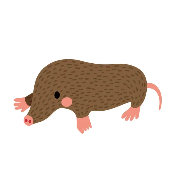 Mole Animal Cartoon Character Vector Illustration — Stock Vector