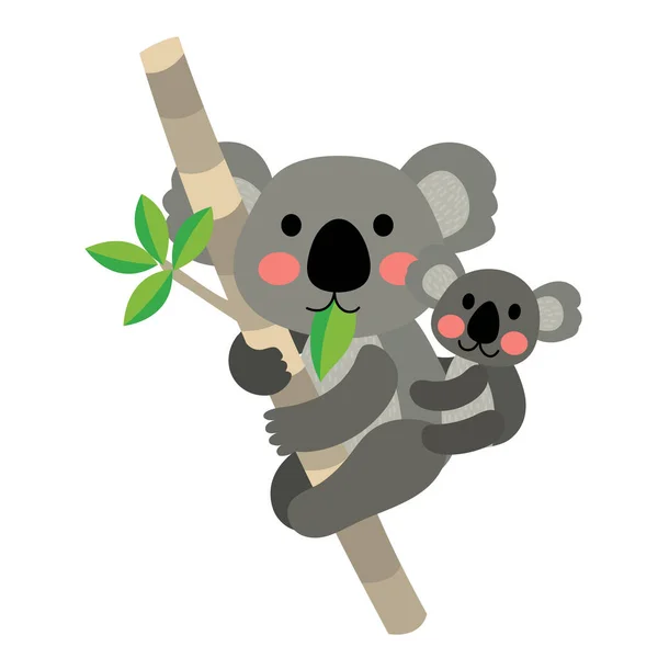 Koala Oso Bebé Koala Animal Dibujo Animado Personaje Vector Ilustración — Vector de stock