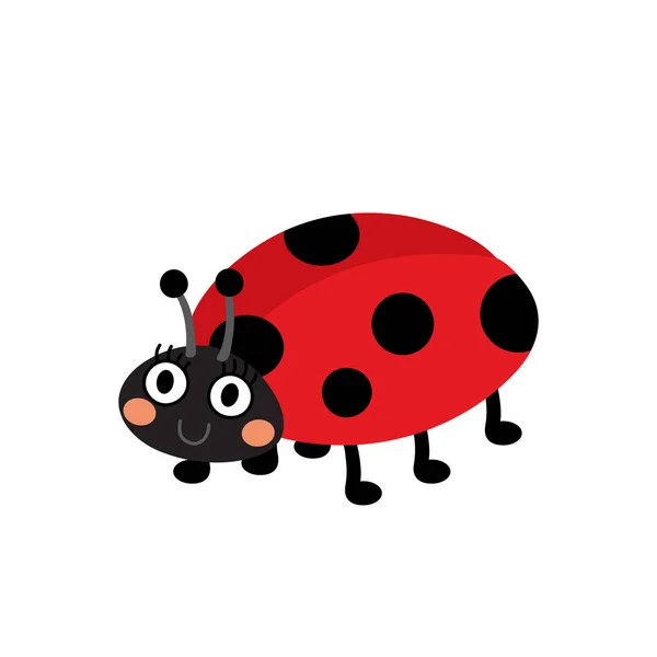 Ladybird Animale Cartone Animato Personaggio Vettoriale Illustrazione — Vettoriale Stock