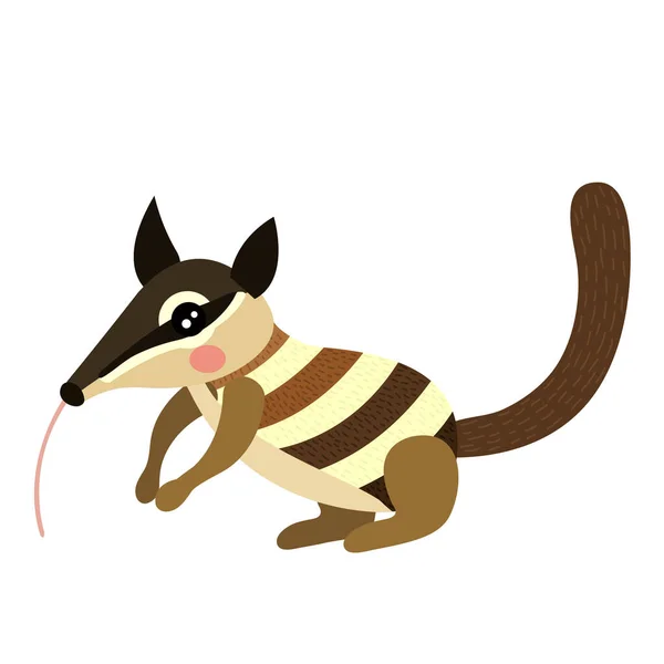 Numbat Animal Desenho Animado Personagem Vetor Ilustração — Vetor de Stock