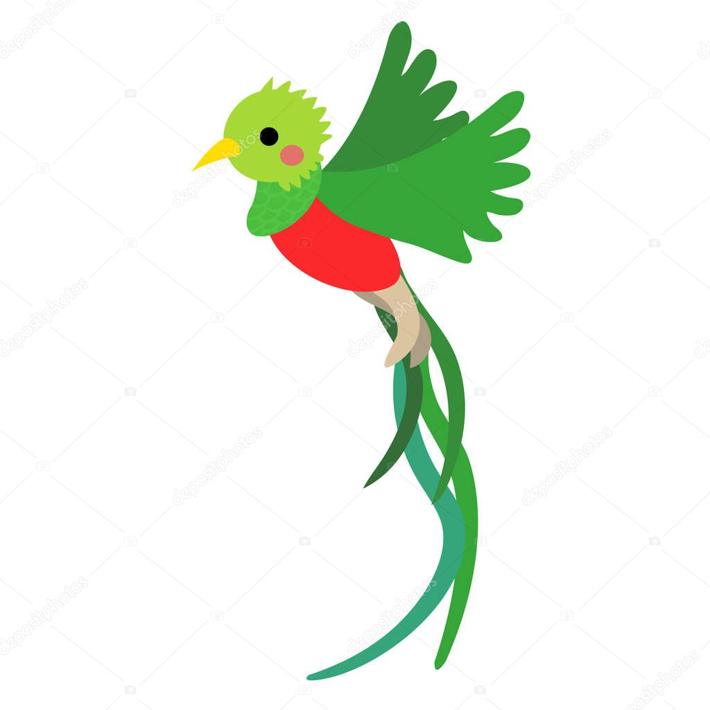 Flying Quetzal bird animal cartoon character vector illustration