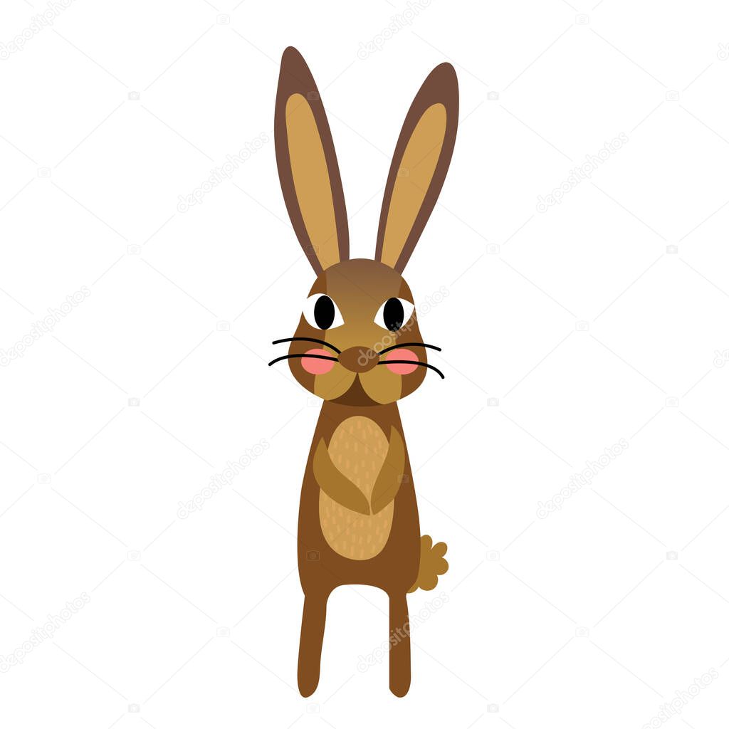 Hare standing animal cartoon character vector illustration