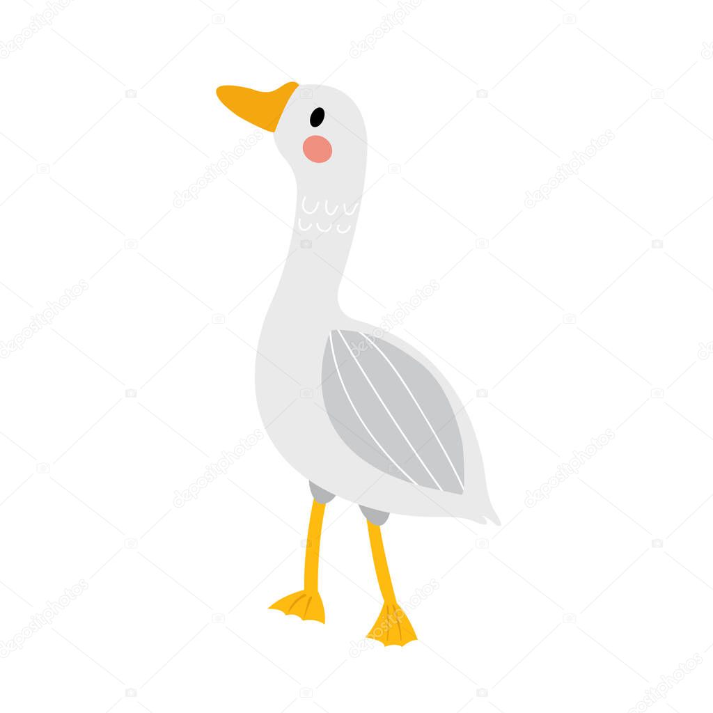 Goose animal cartoon character vector illustration.