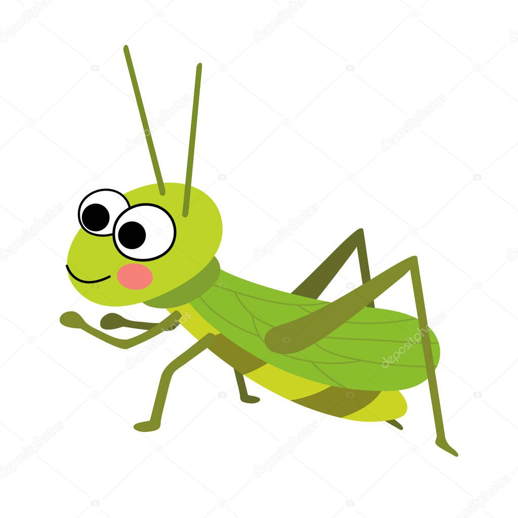 Grasshopper animal cartoon character vector illustration.