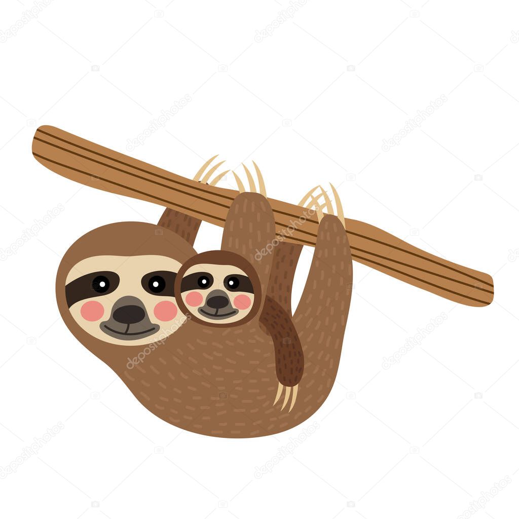 Mother and child Sloth hanging on tree animal cartoon character vector illustration