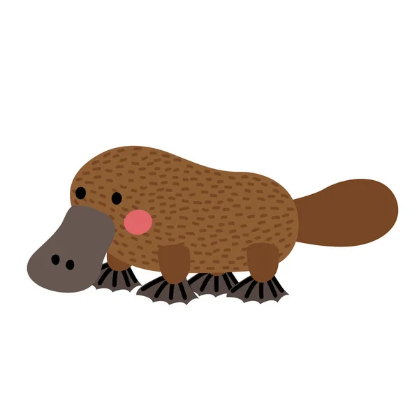 Platypus Animal Desenho Animado Personagem Vetor Ilustração —  Vetores de Stock