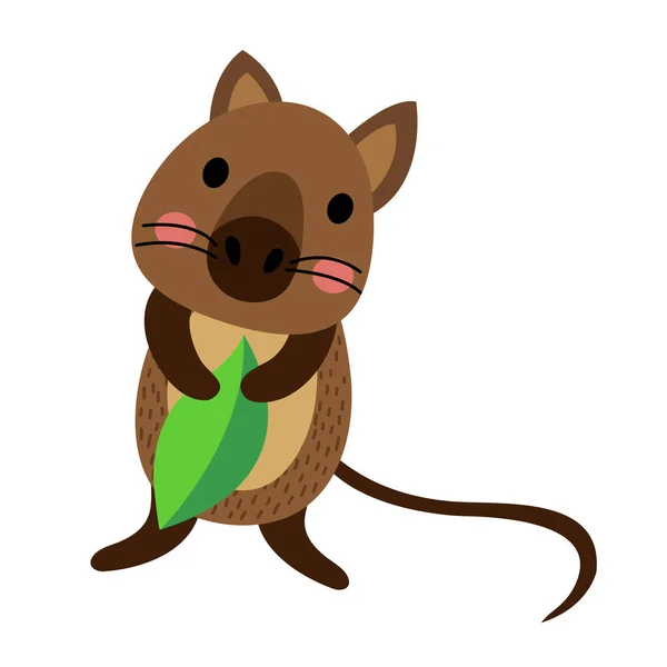 Quokka拿着树叶动物卡通人物矢量图解 — 图库矢量图片