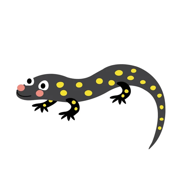 Salamander Tier Zeichentrickfigur Vektor Illustration — Stockvektor