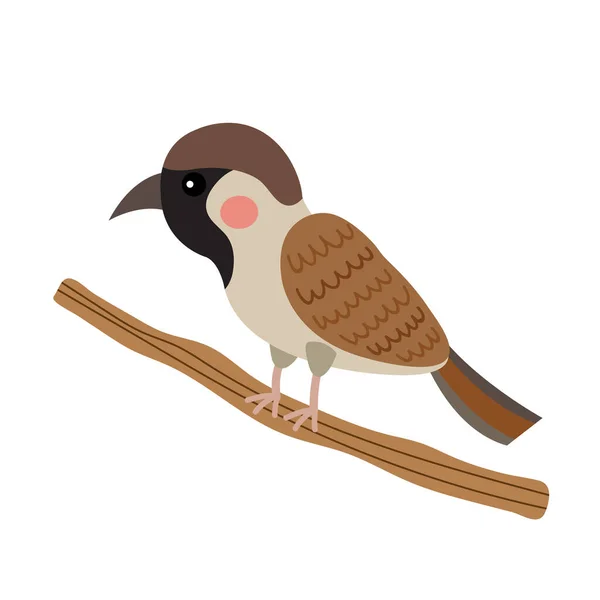 Gorrión Pájaro Animal Dibujo Animado Personaje Vector Ilustración — Vector de stock
