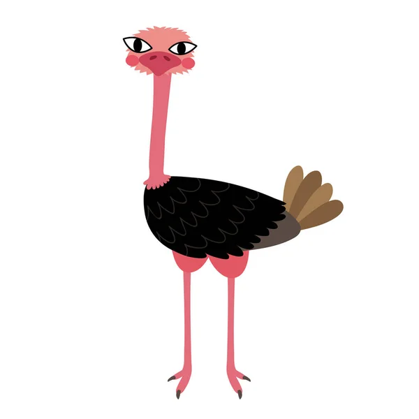 Desenho Animado Animal Avestruz Personagem Ilustração — Vetor de Stock